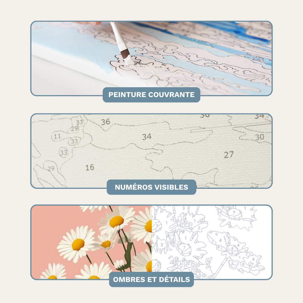 Marguerites - Kit de peinture par numéros