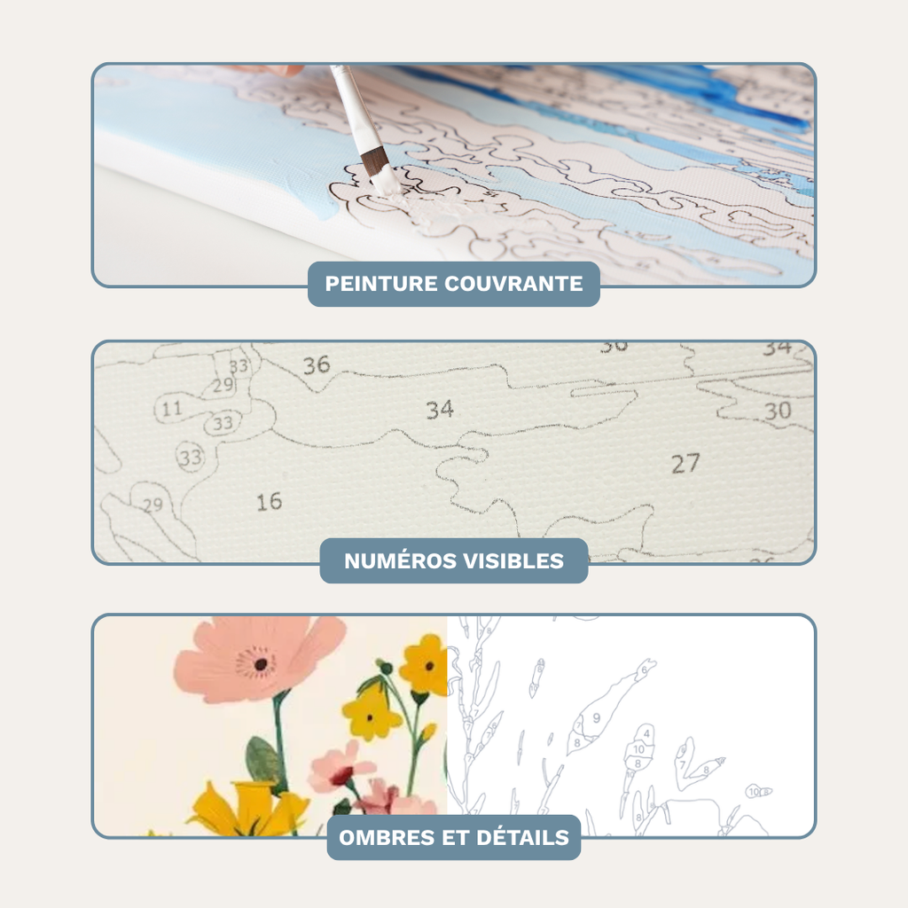 Fleurs des Champs - Kit de peinture par numéros