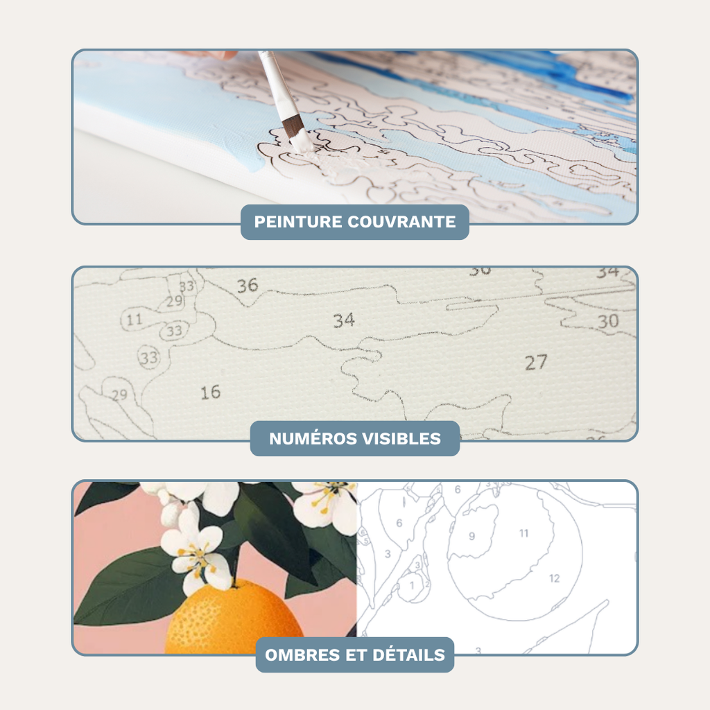 Fleurs d'Oranger - Kit de peinture par numéros
