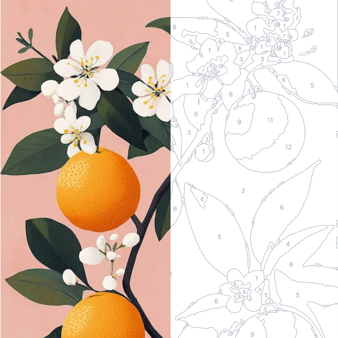 Fleurs d'Oranger - Kit de peinture par numéros