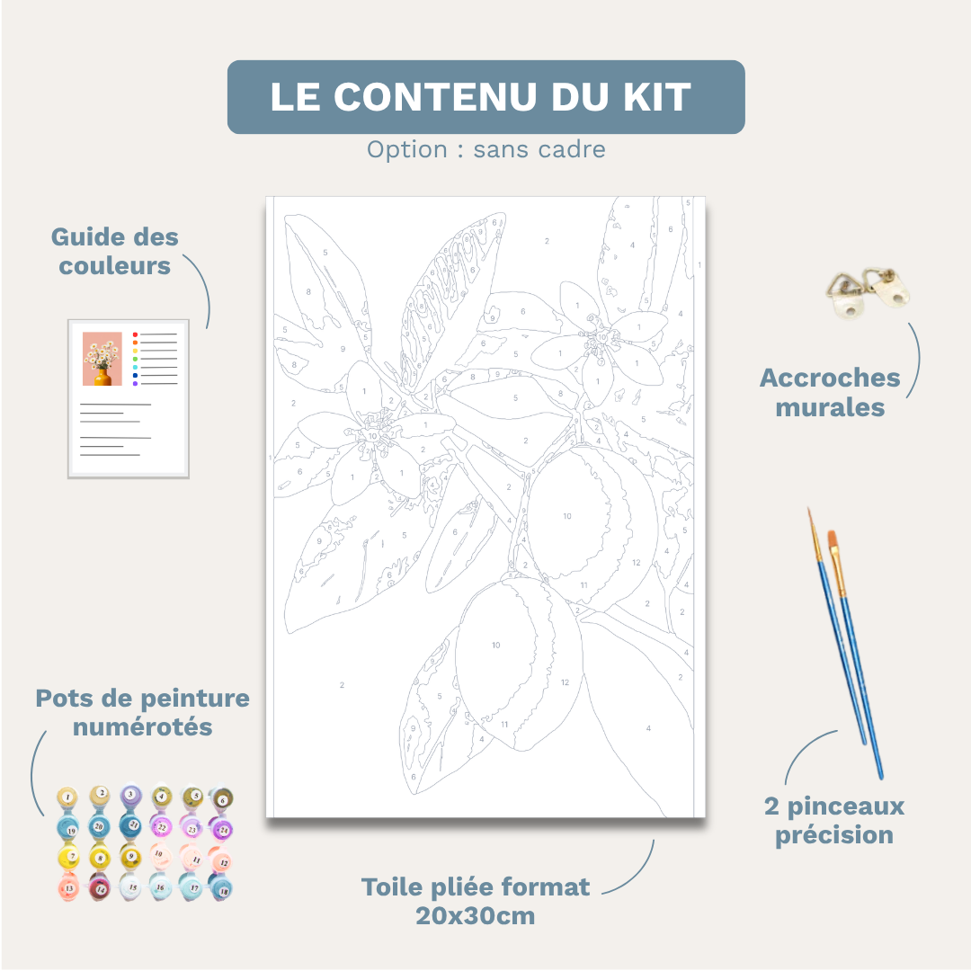 Citronnier - Kit de peinture par numéros