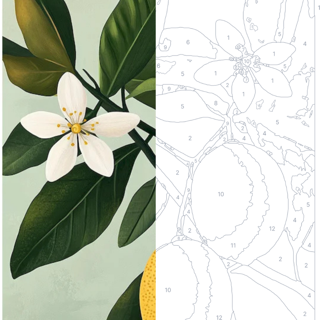 Citronnier - Kit de peinture par numéros