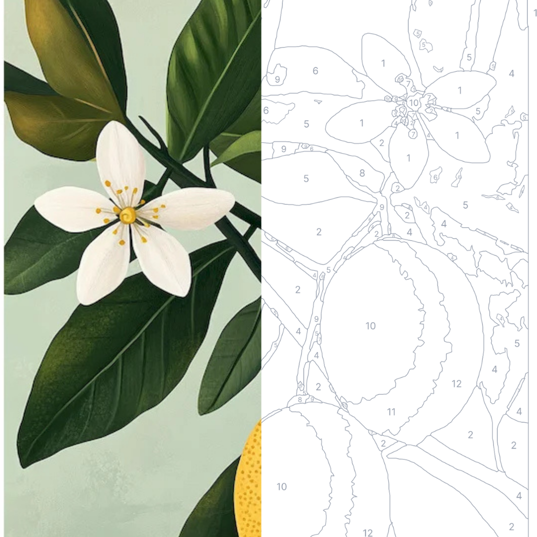 Citronnier - Kit de peinture par numéros