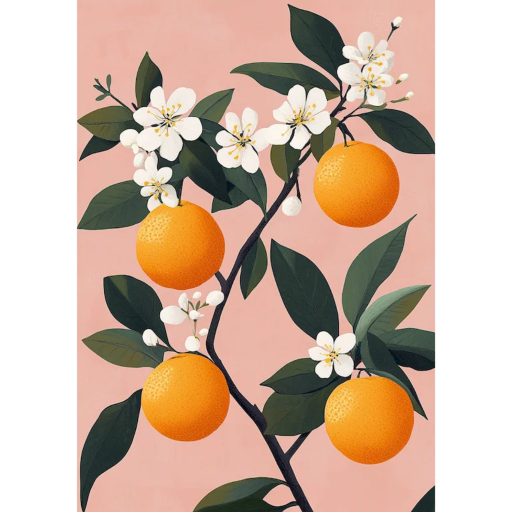 Fleurs d'Oranger - Kit de peinture par numéros