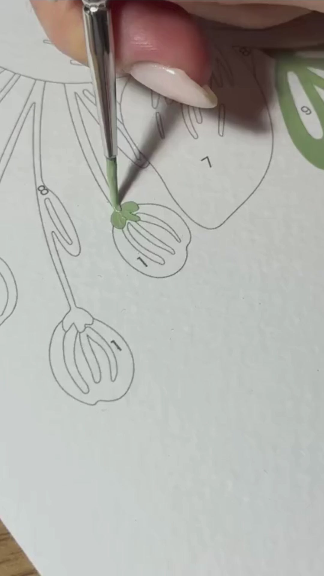 Vidéo